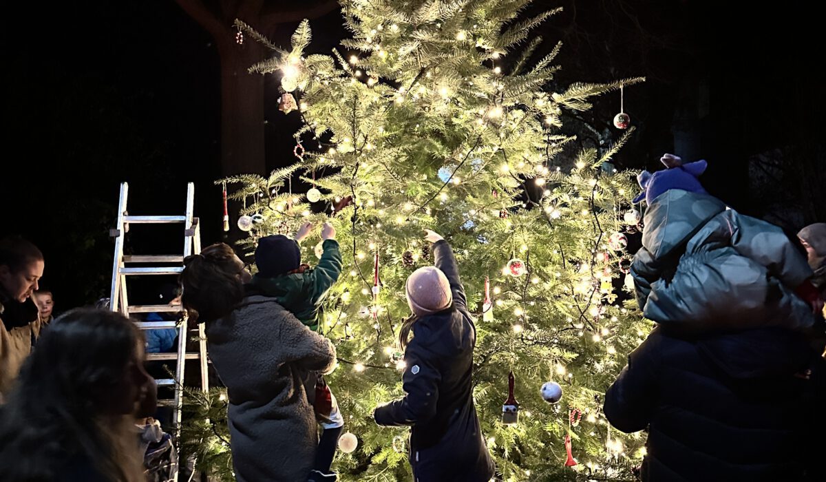 2025-11-28_18-04-06_746